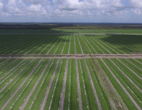 Aerial View of a Farm