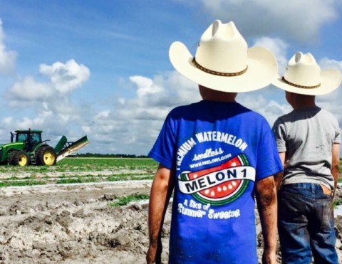 Two boys with Melon 1 logo watching a tractor in the field.